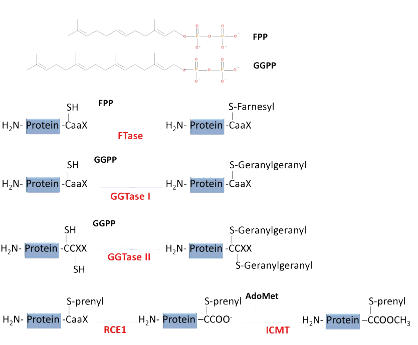 a8c0b3836d6a6323a7a0673733ff5d4
